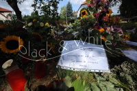 Erdrutsch in Nachterstedt